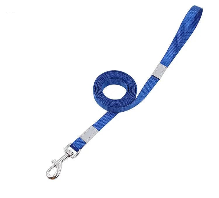 Reflective Colored Dog Leash for Safe and Stylish Walks