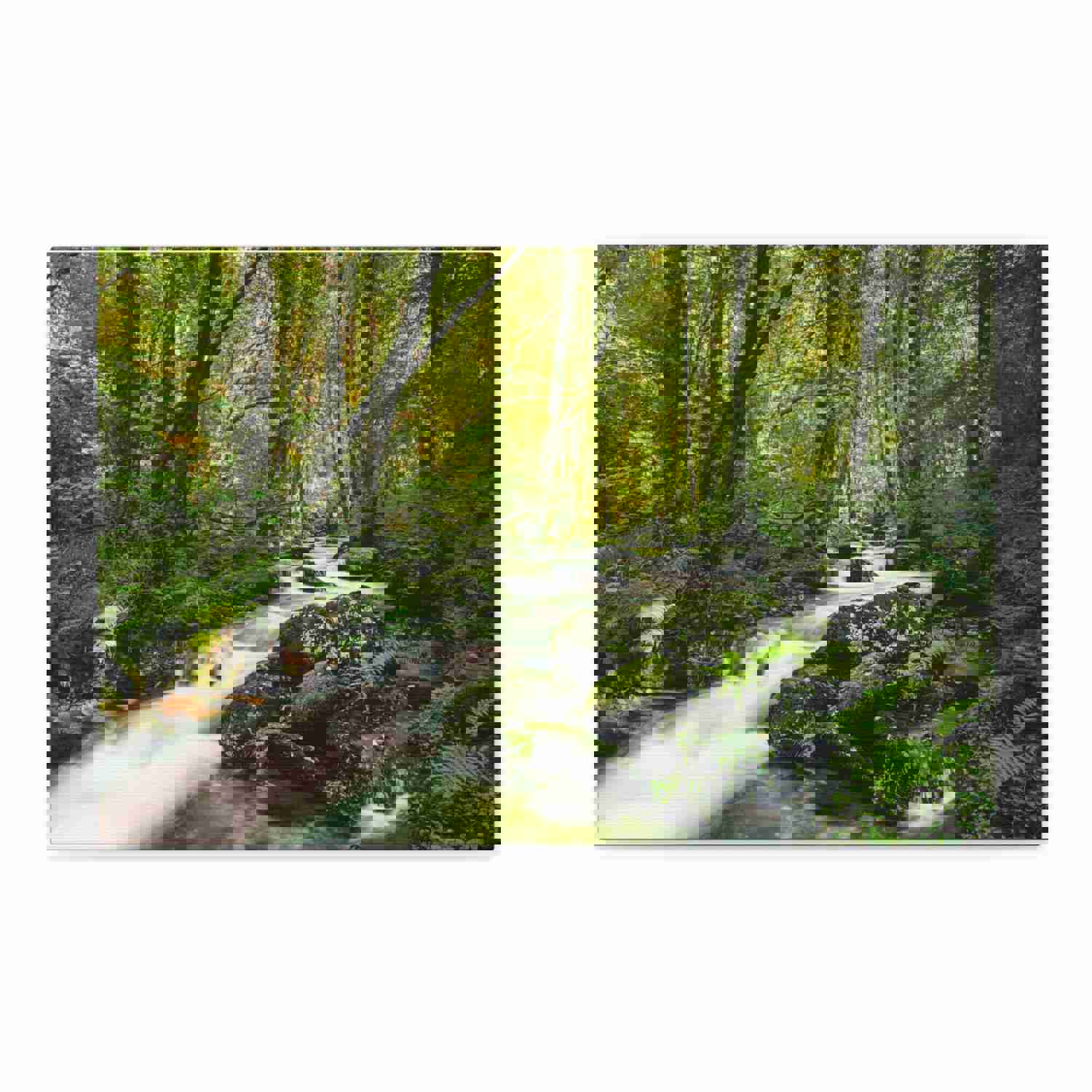 Green Forest River Nature Wilderness Photography Canvas Wall Art for Home Decor