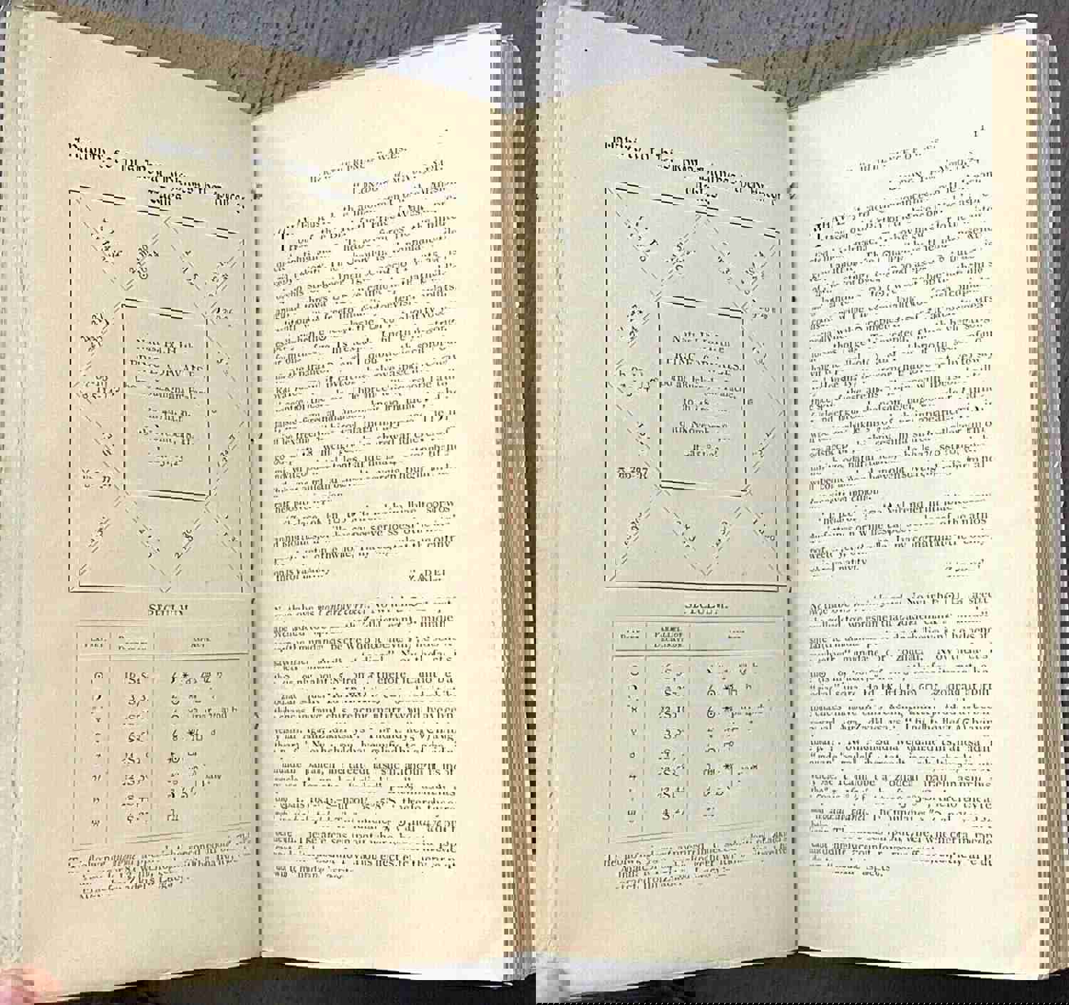 ASTROLOGERS MAGAZINE - Vol. I, 1890-91 ALAN LEO - Entire FIRST YEAR of Journals