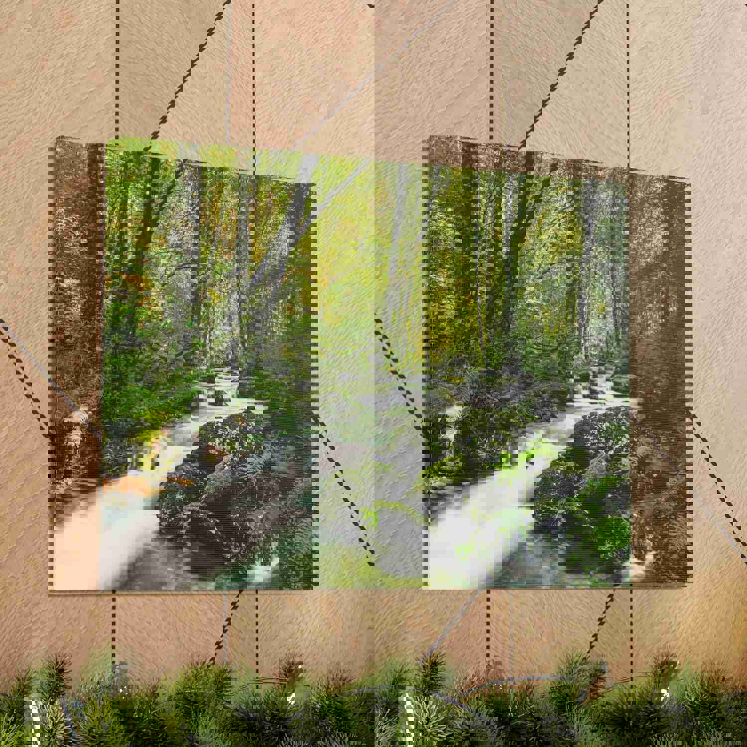 Green Forest River Nature Wilderness Photography Canvas Wall Art for Home Decor