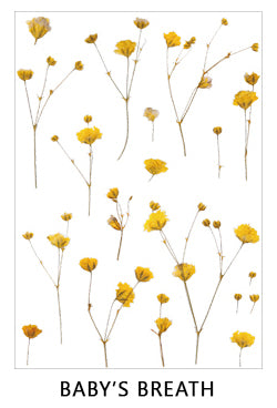 Clear Flowers Sticker Sheet