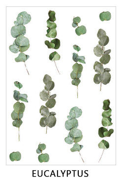 Clear Flowers Sticker Sheet