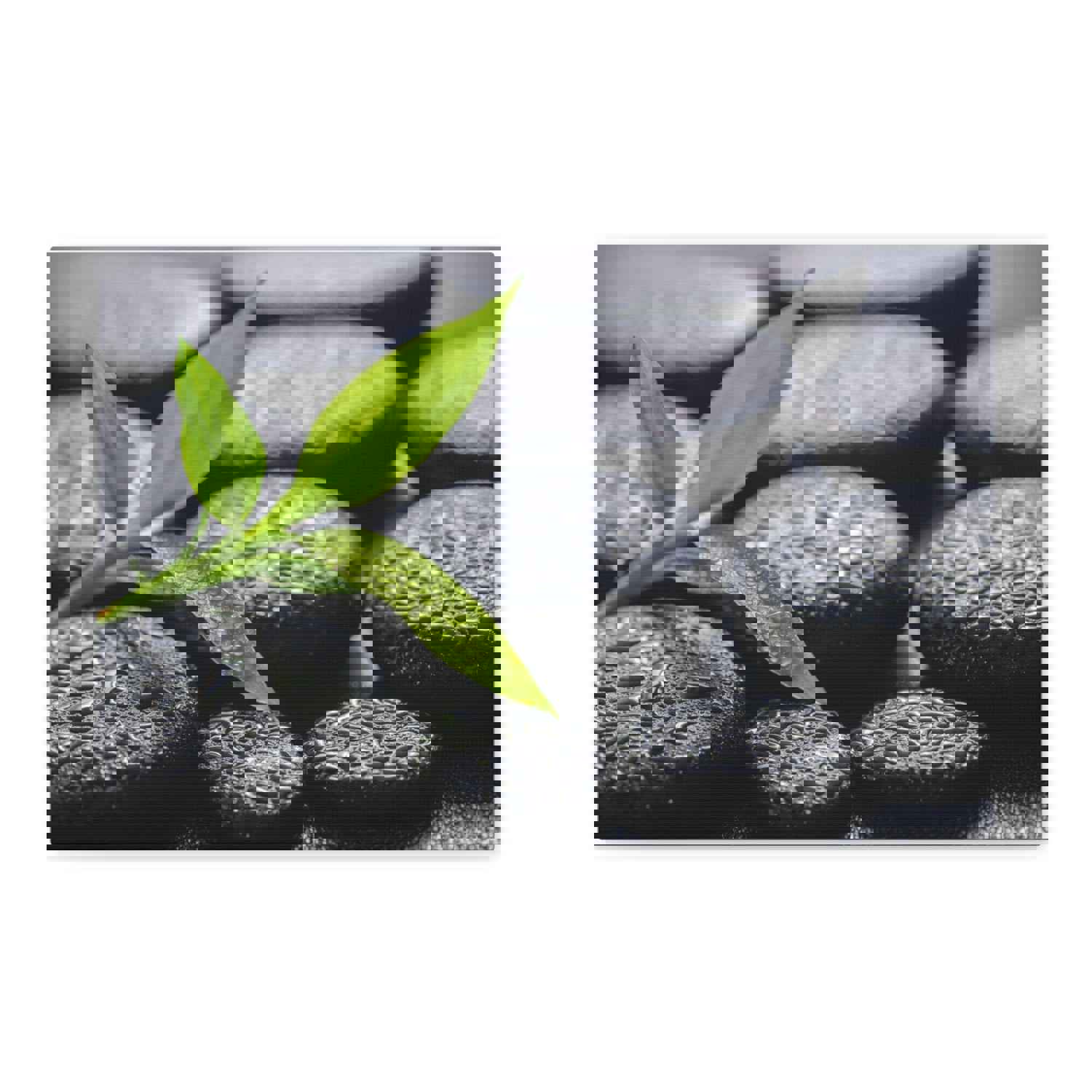 Bamboo on Zen Basalt Forest Floral Nature Photography Canvas Wall Art