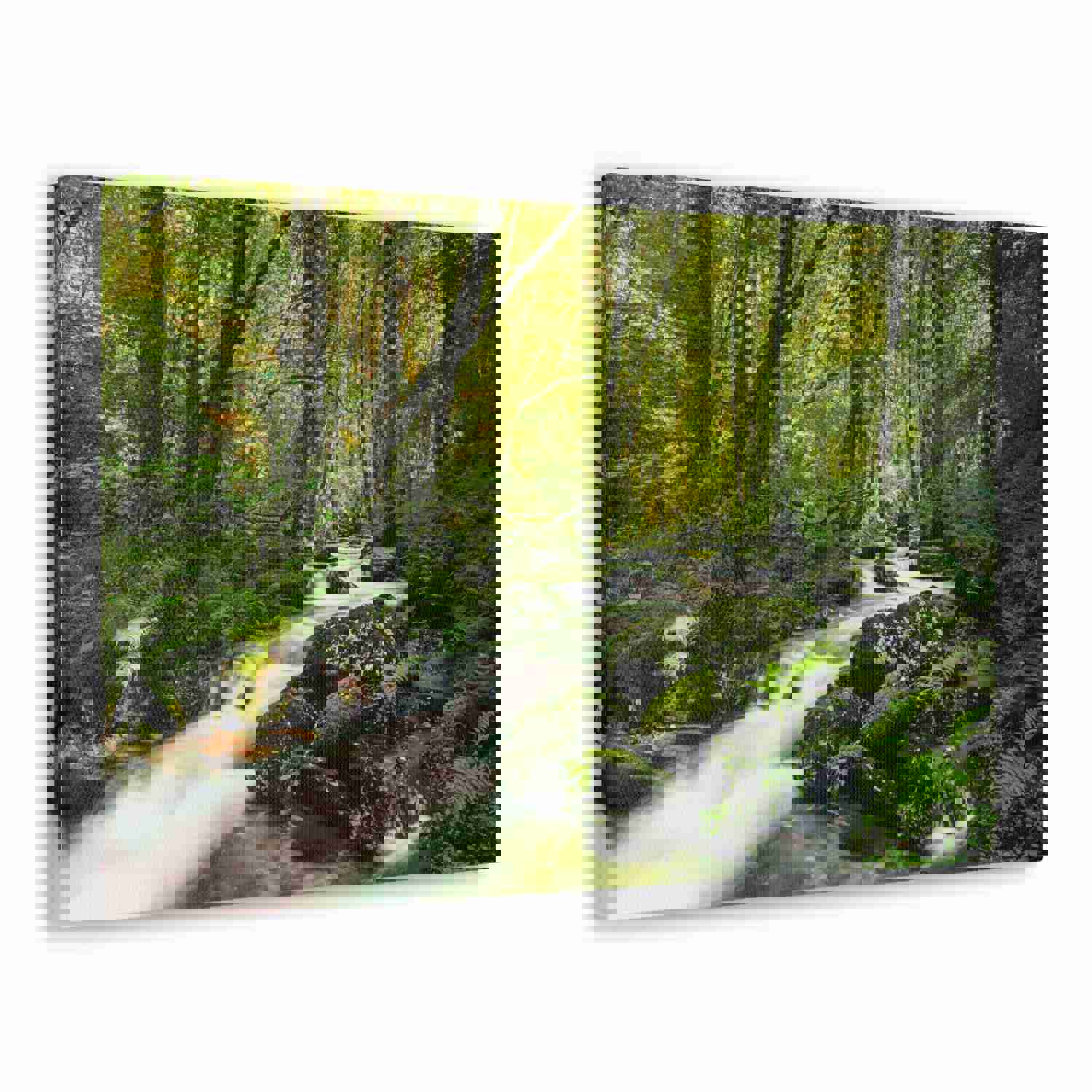 Green Forest River Nature Wilderness Photography Canvas Wall Art for Home Decor