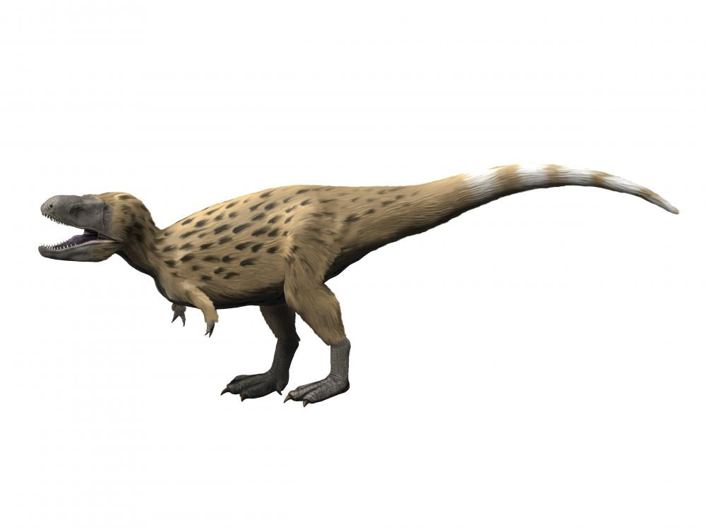 Tarbosaurus Theropod Dinosaur Wall Decal