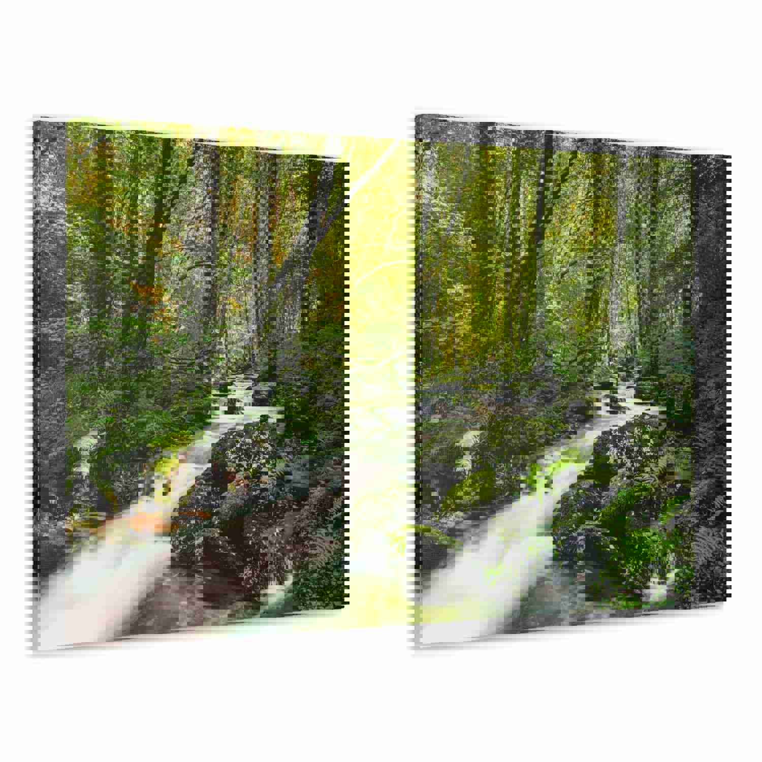 Green Forest River Nature Wilderness Photography Canvas Wall Art for Home Decor