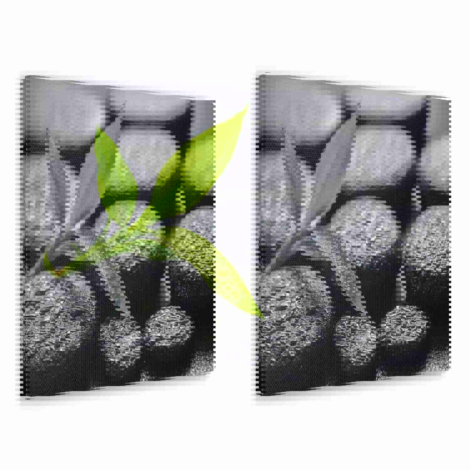 Bamboo on Zen Basalt Forest Floral Nature Photography Canvas Wall Art