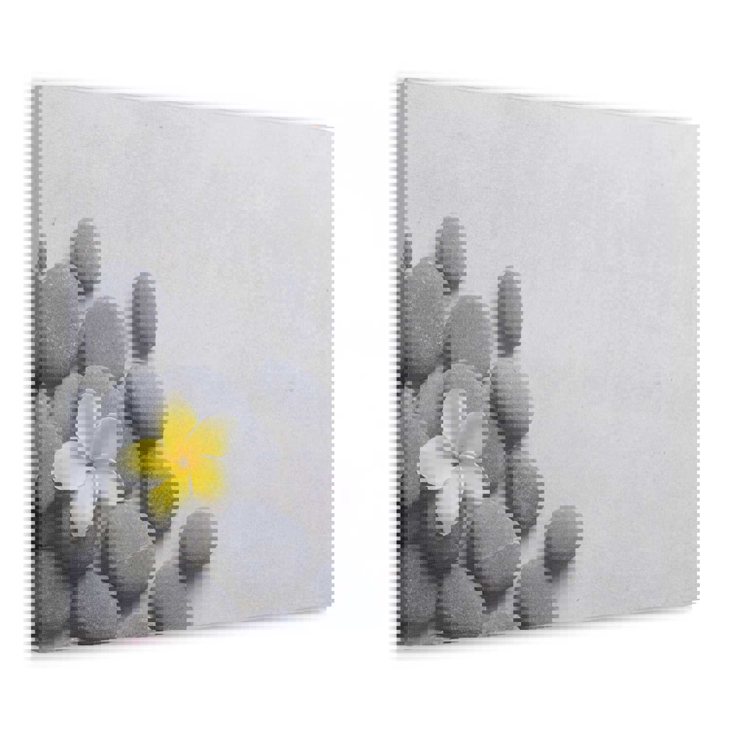 Frangipani and Zen Stones Forest Floral Nature Photography Canvas Wall Art - Ready-to-Hang Home Decor