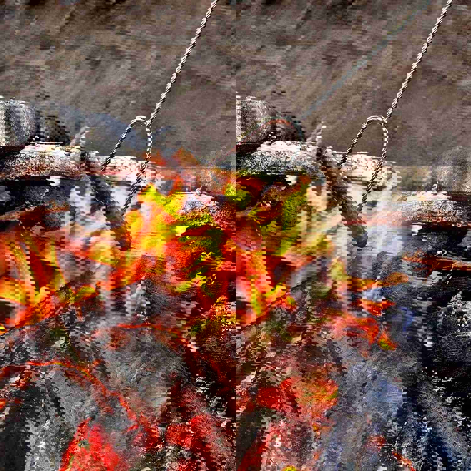 GikPal Marshmallow Roasting Sticks, 6 Pack Extendable Stainless Steel BBQ Skewers for Camping & Bonfire