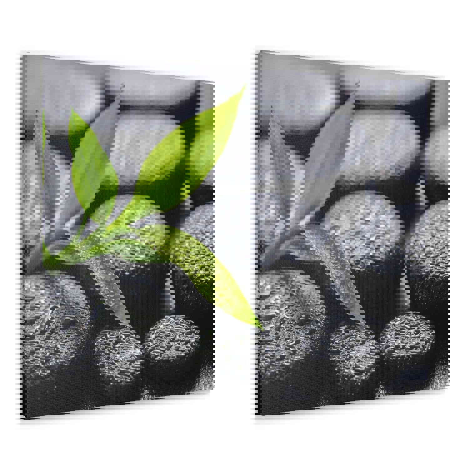 Bamboo on Zen Basalt Forest Floral Nature Photography Canvas Wall Art