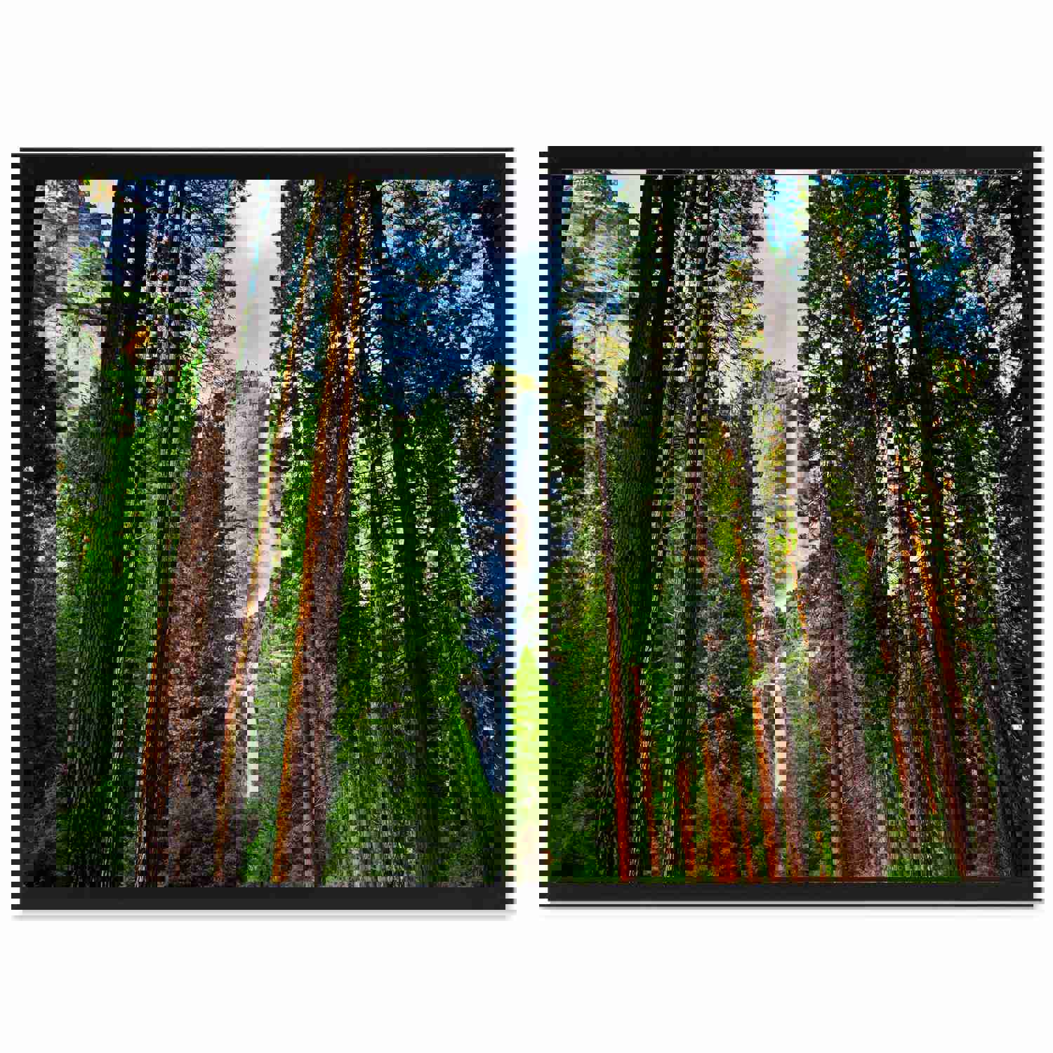 Yosemite Waterfalls Landscape Photo Canvas Print - Home Décor Wall Art Gift