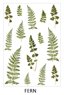 Clear Flowers Sticker Sheet