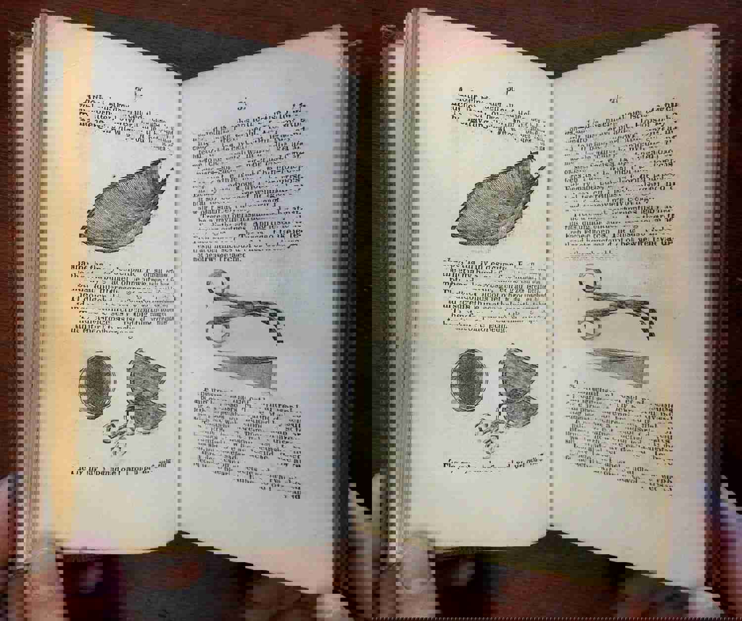 Every Day Book 1855: Illustrated History, Science, and Poetry Collection