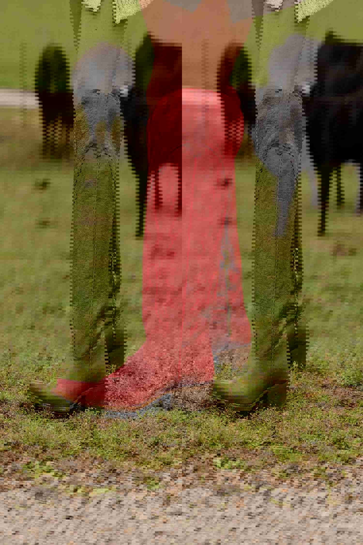 The Juany XL Snip Toe Cowgirl Boot