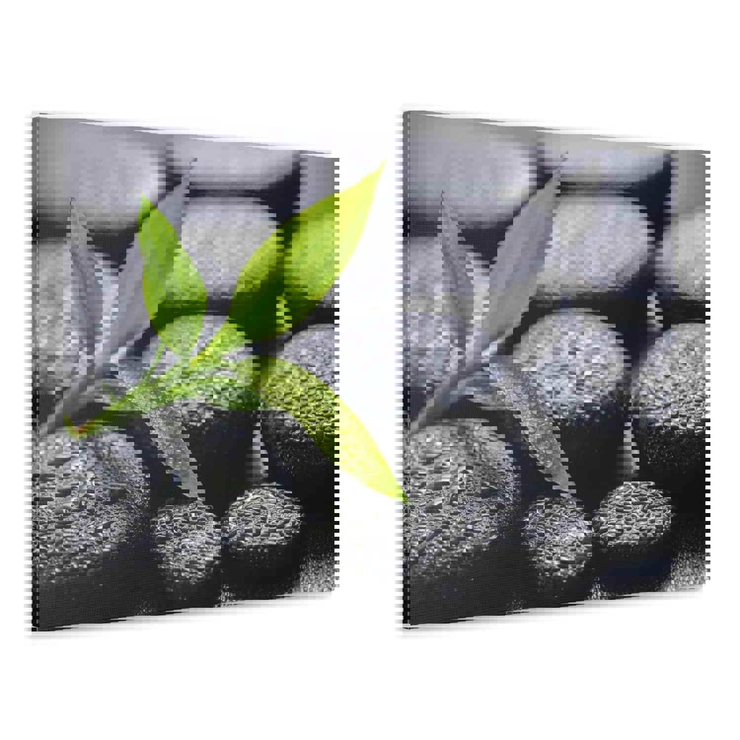 Bamboo on Zen Basalt Forest Floral Nature Photography Canvas Wall Art