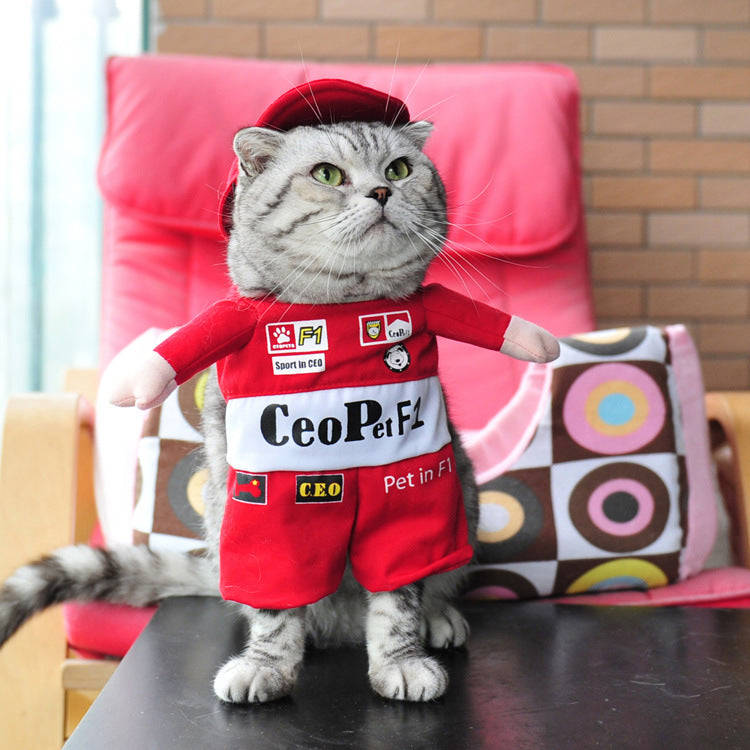 Halloween Dog Costumes - Pirate, Police, Doctor, Guitar, Funny Dress for Pets