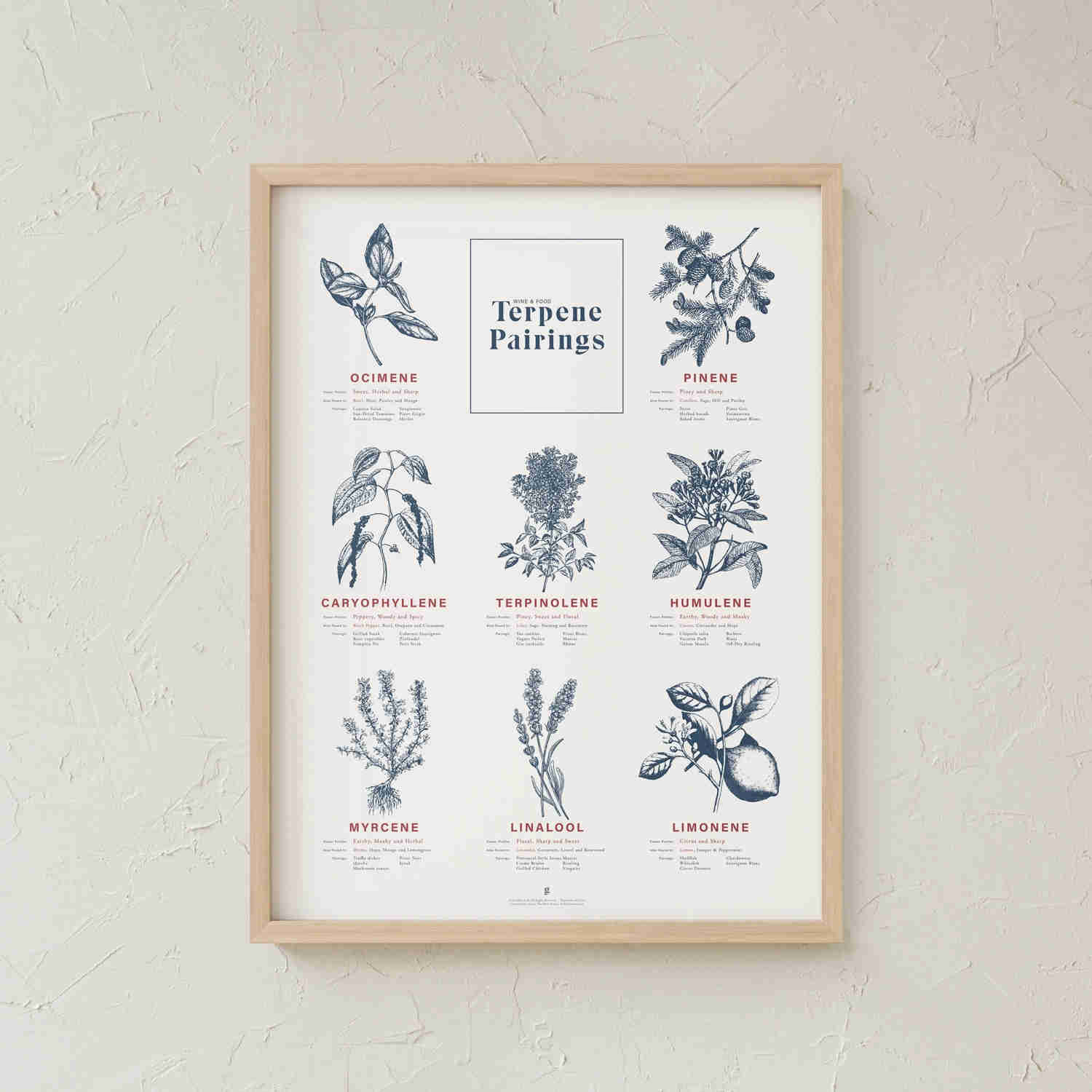 Terpene Food & Wine Pairing Chart Print