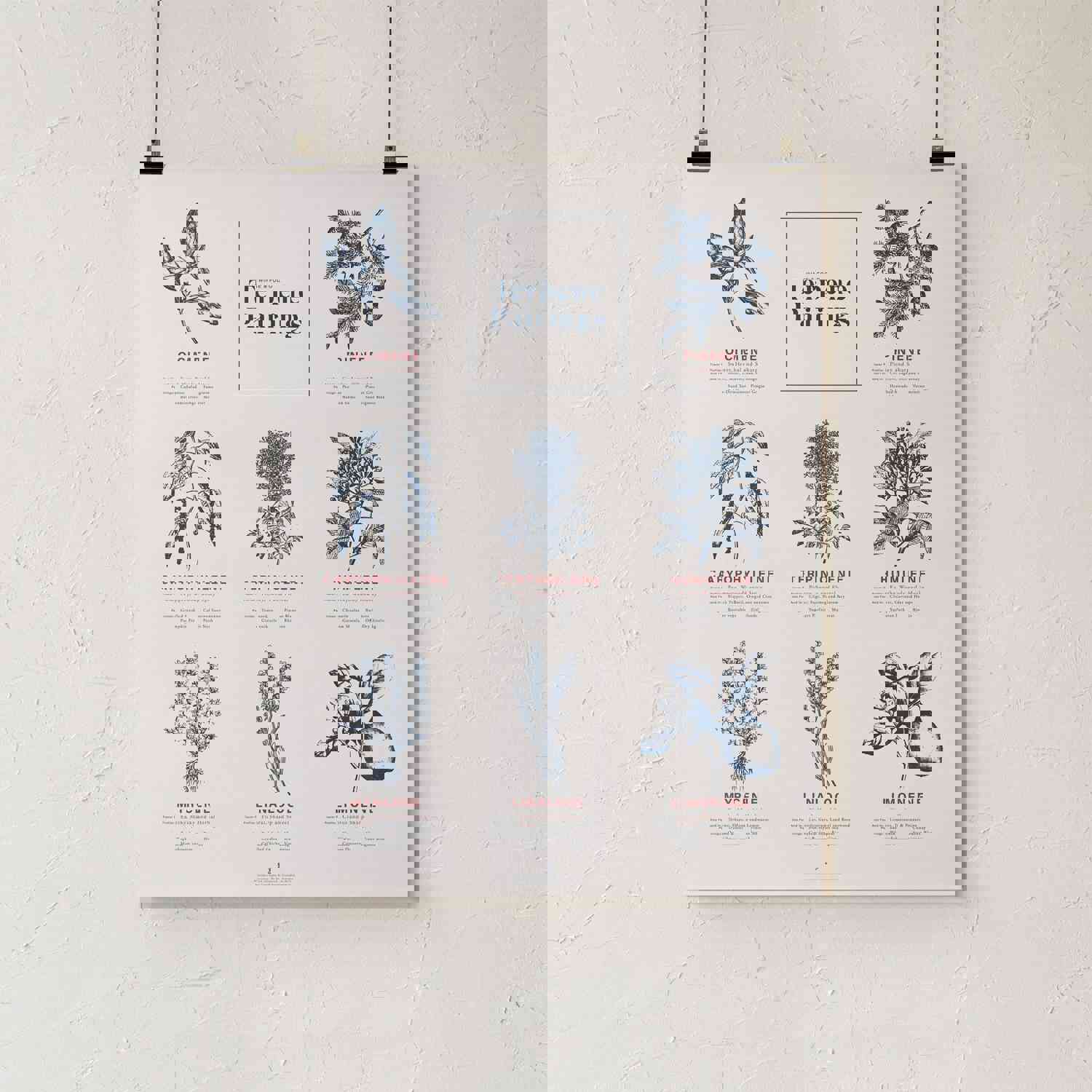 Terpene Food & Wine Pairing Chart Print