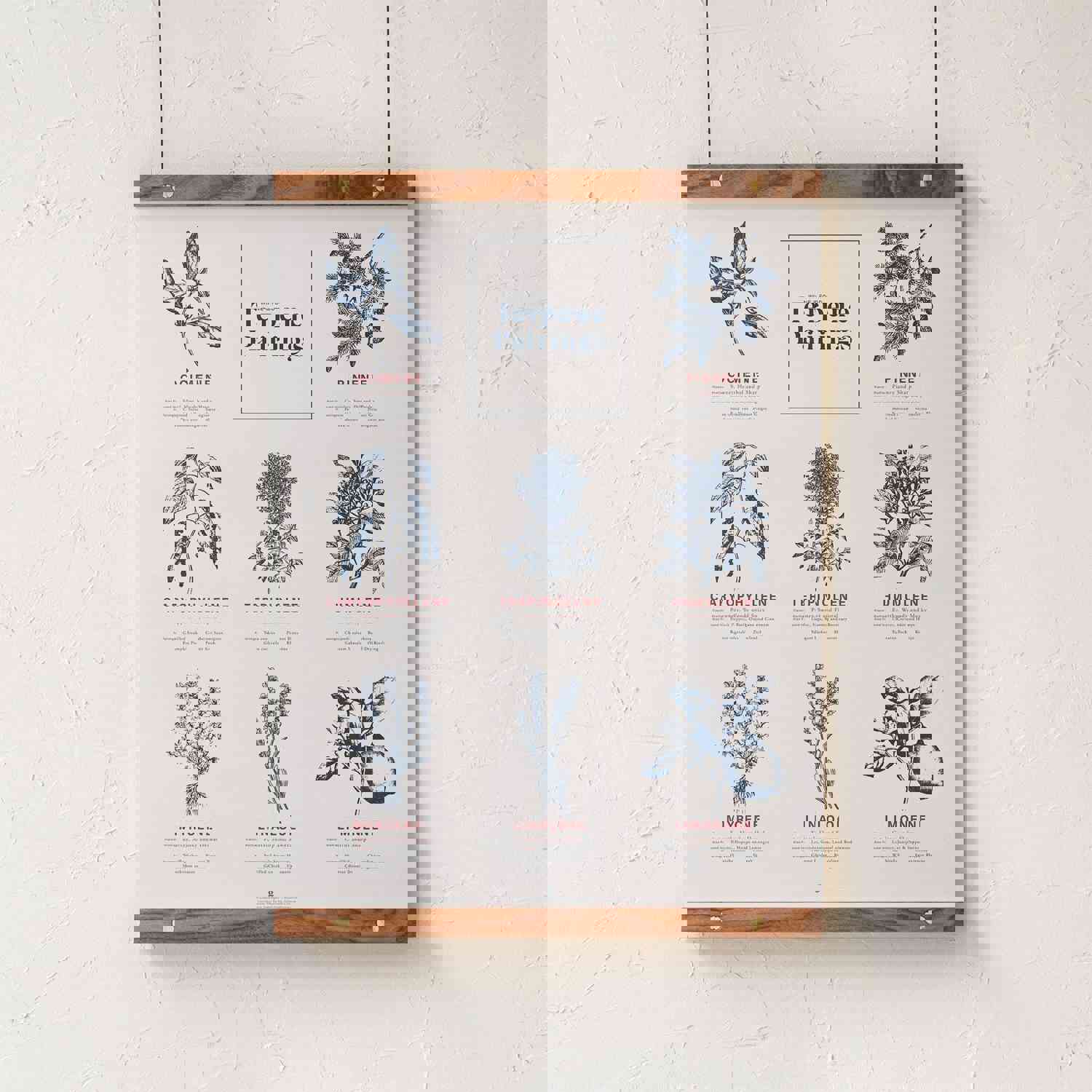 Terpene Food & Wine Pairing Chart Print