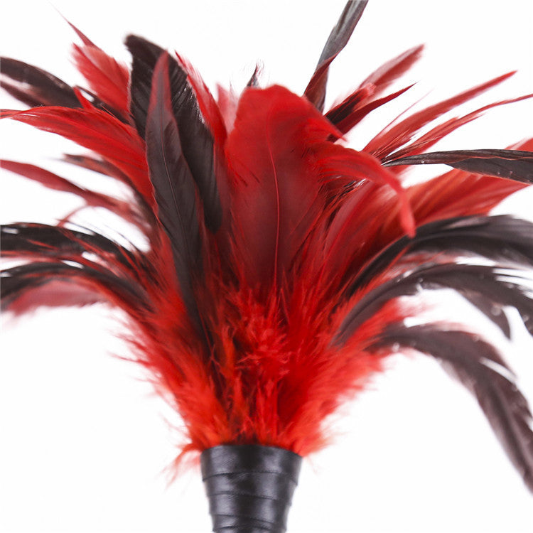 Couple Bed Tease Game Red Chicken Feather Tickling Toy
