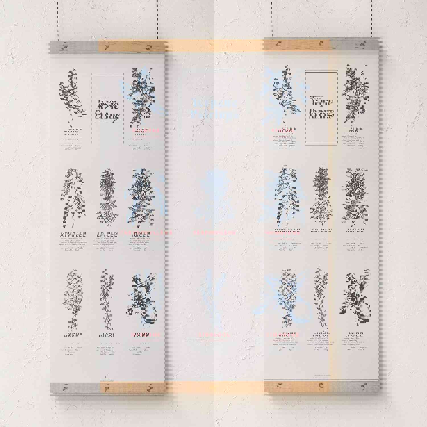 Terpene Food & Wine Pairing Chart Print
