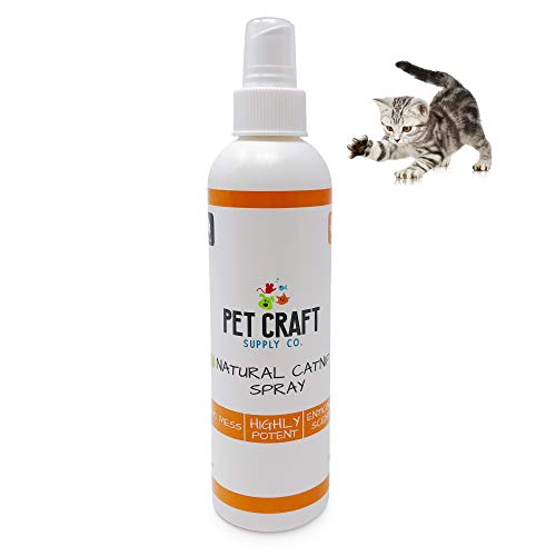 Premium All Natural Catnip Spray for Cats - 8oz USA Grown & Harvested