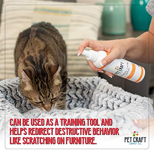Premium All Natural Catnip Spray for Cats - 8oz USA Grown & Harvested