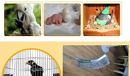 Bonaweite 3 Pack Wooden & Stainless Steel Long Handle Bird Cleaning Brush for Pet Cages