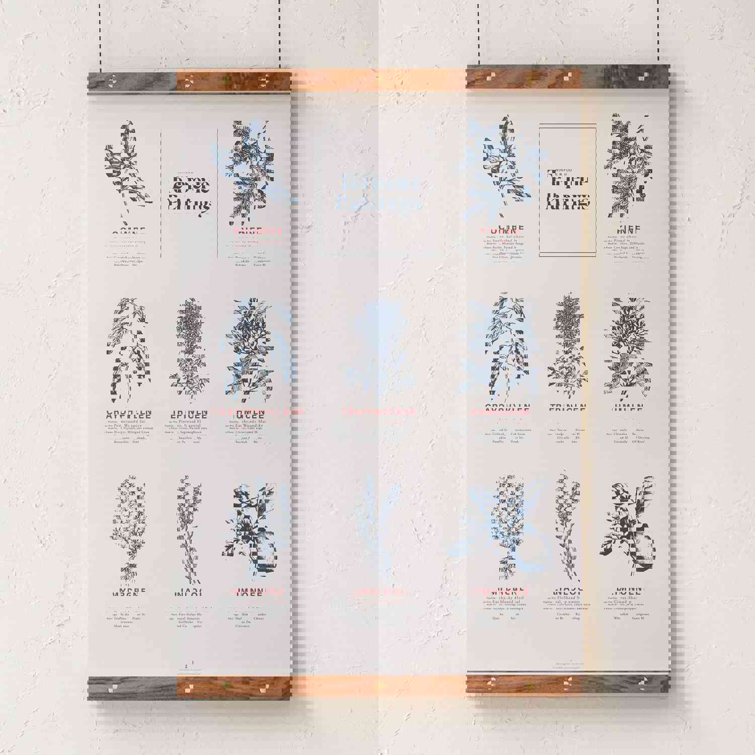 Terpene Food & Wine Pairing Chart Print