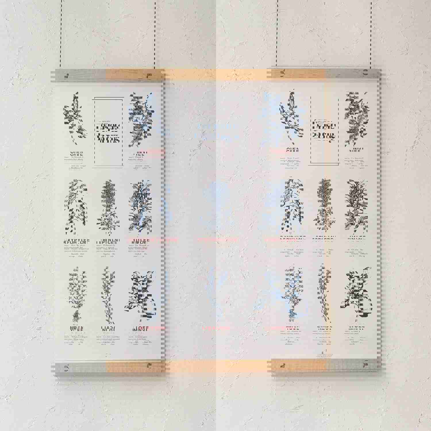 Terpene Food & Wine Pairing Chart Print