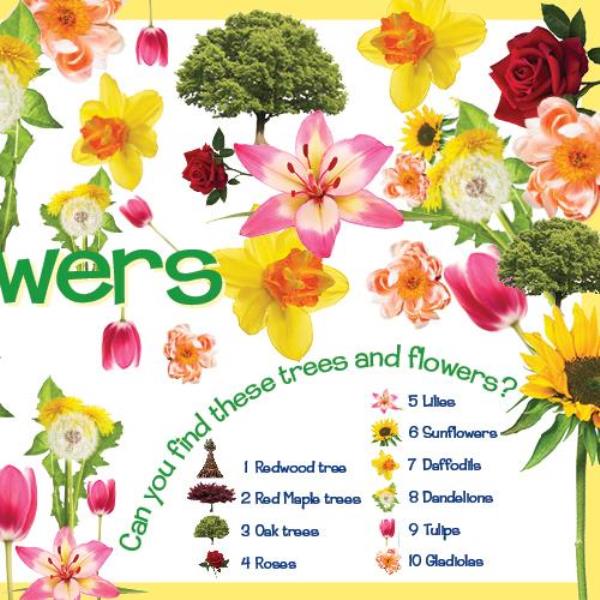Can You Find It? A Search-and-Find Book - Hashems Amazing World