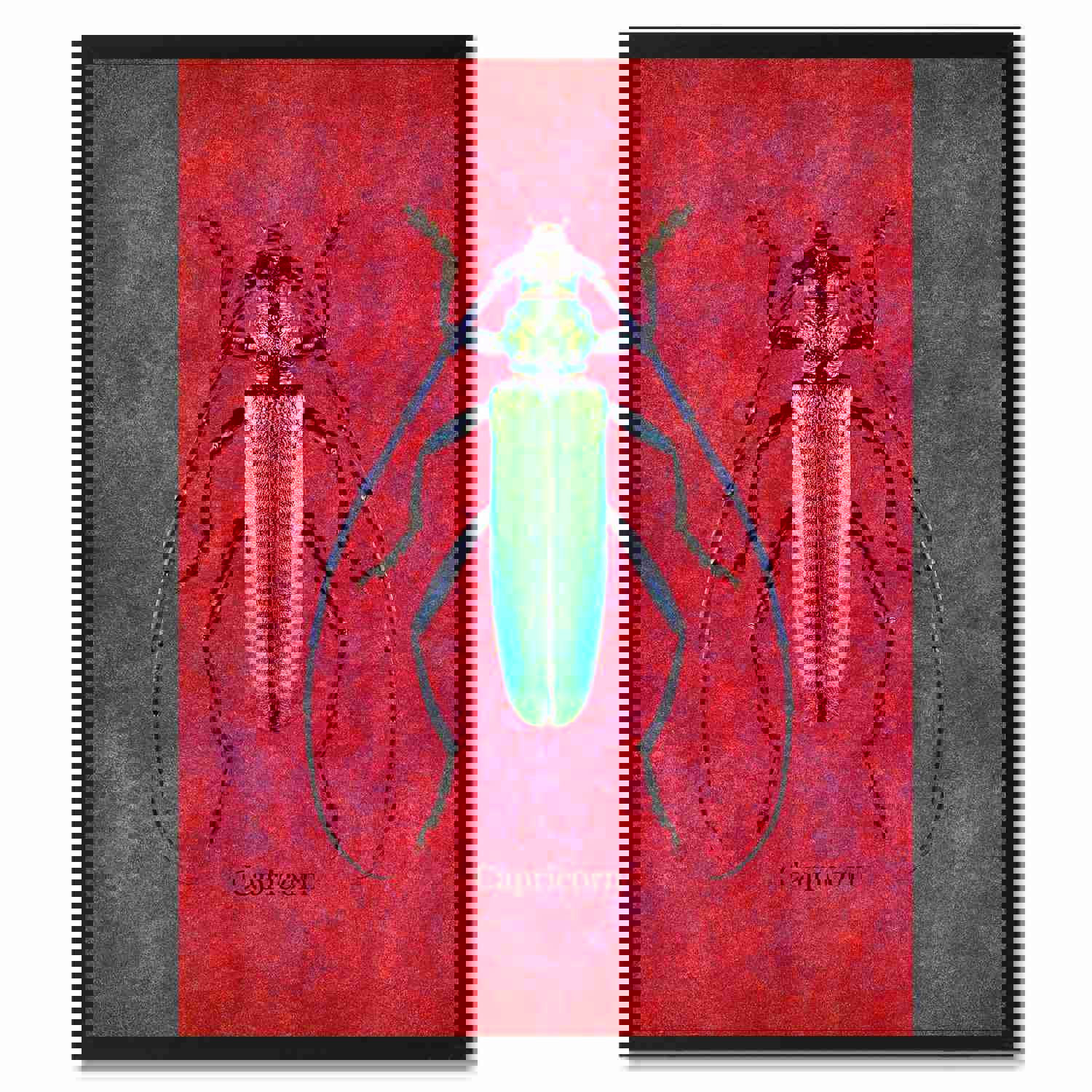 Capricorn Red Canvas Print with Custom Frame - Home & Office Wall Art