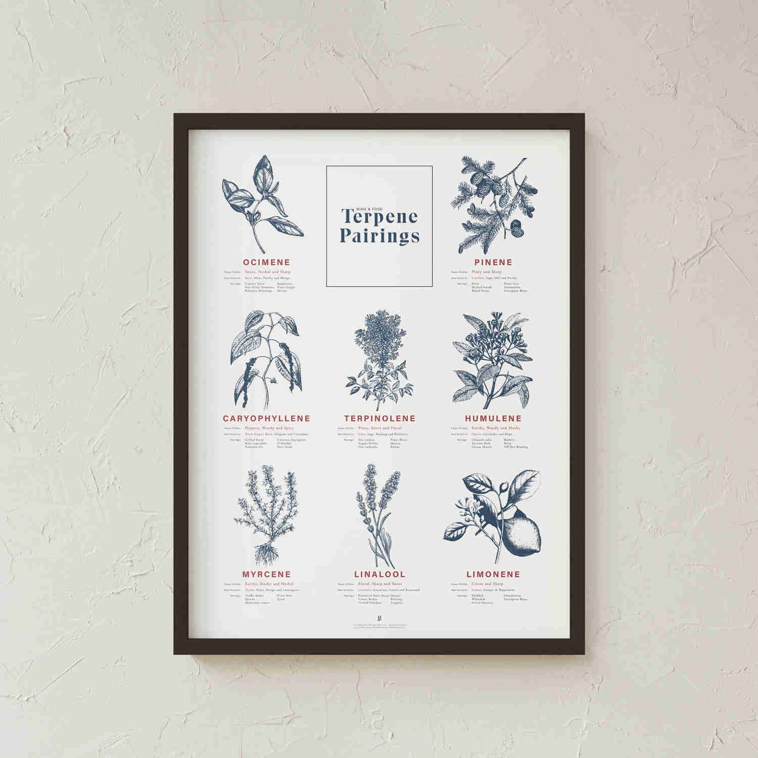 Terpene Food & Wine Pairing Chart Print