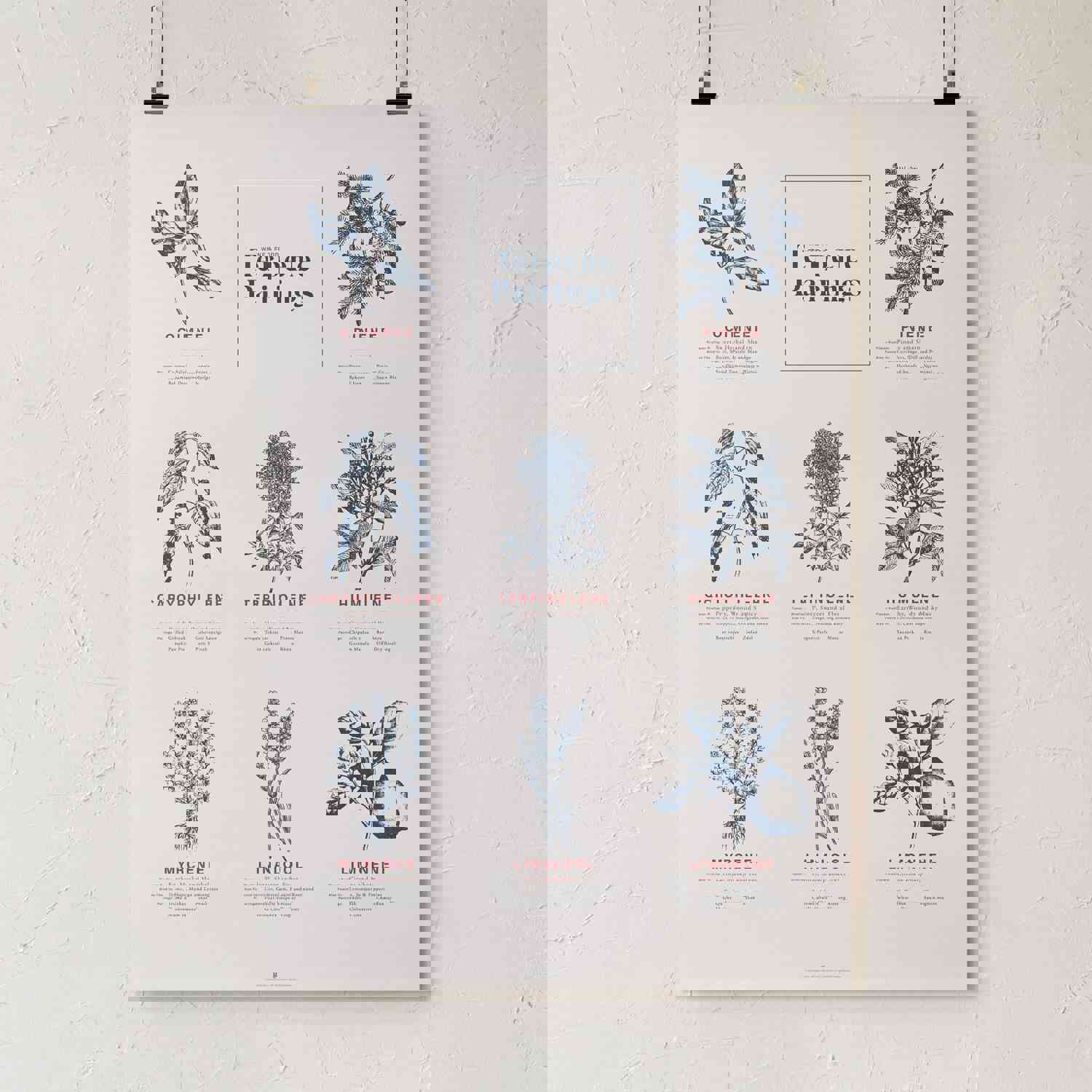 Terpene Food & Wine Pairing Chart Print