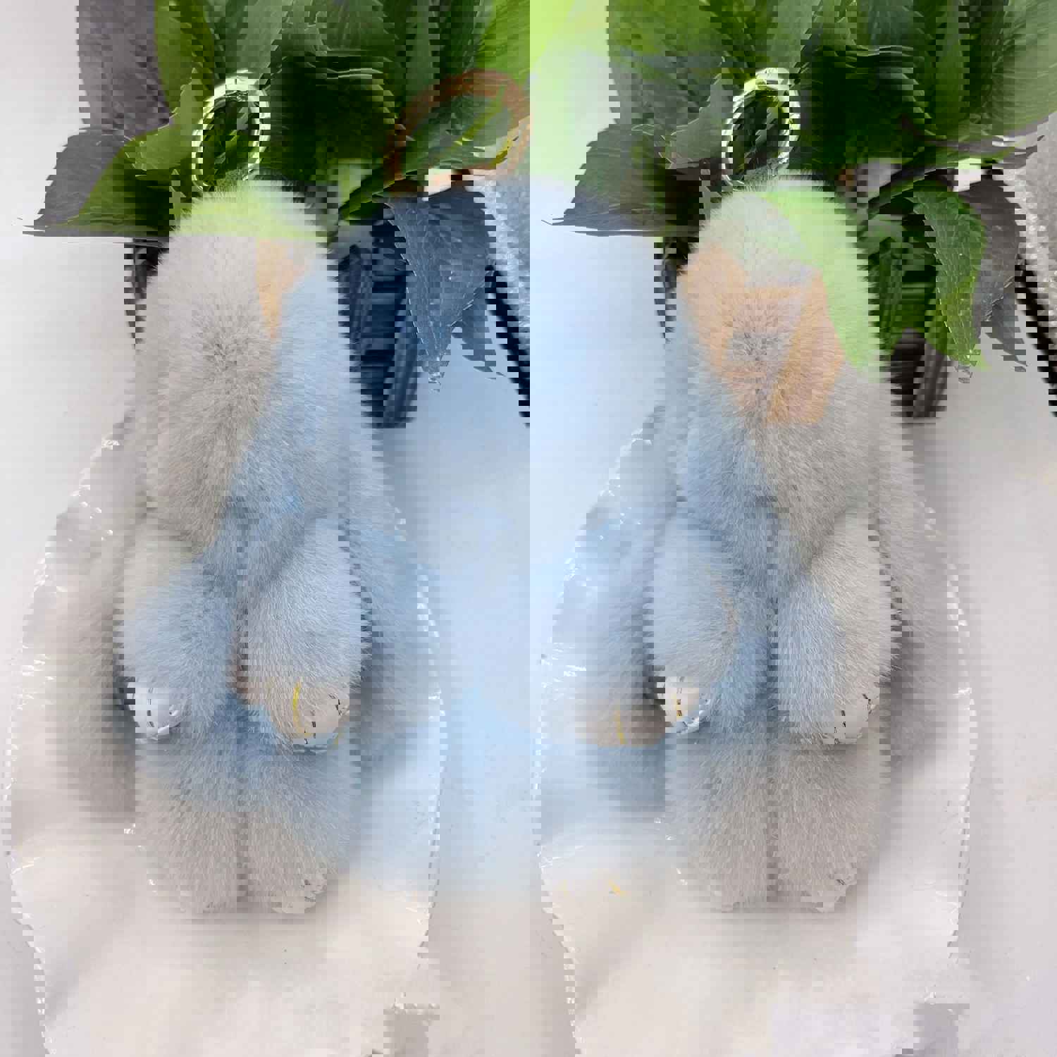 New Charm Decoration Gift Plush Bunny Toy Rex Rabbit Fur Bag Pendant Key Chain