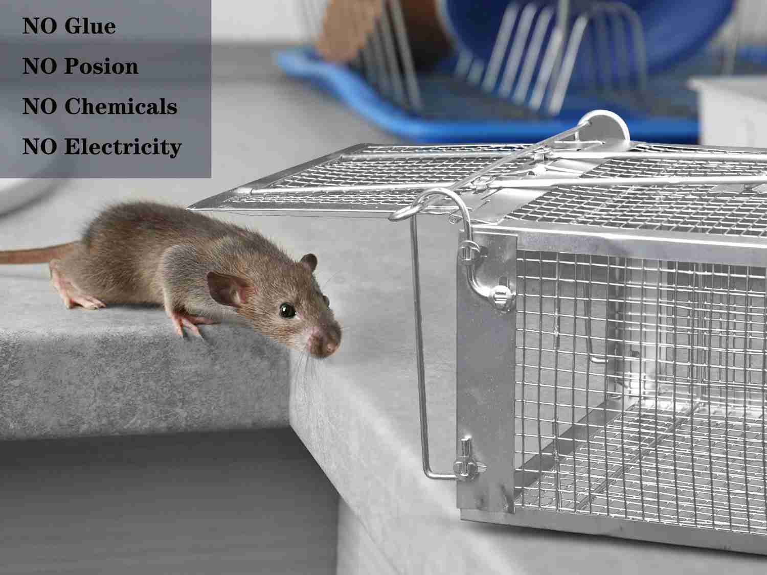 2-Pack Humane Rat Cage Traps, Live Mouse Rat Traps Catch and Release for Indoor Outdoor, Small Animals Traps