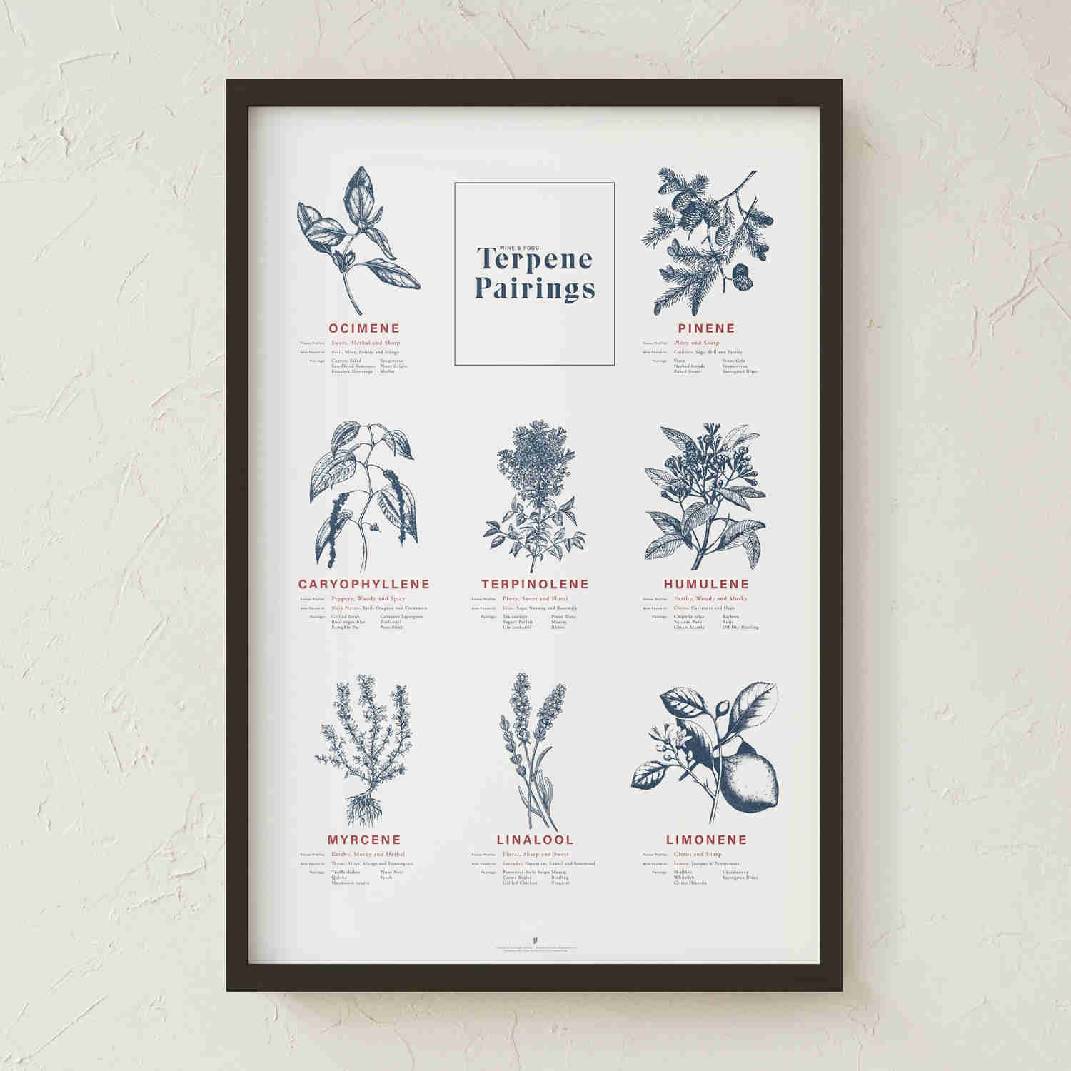 Terpene Food & Wine Pairing Chart Print