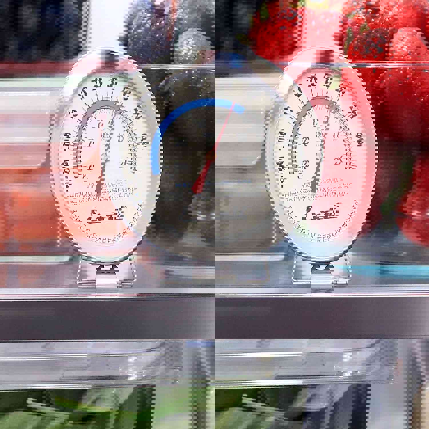 Escali AHF1 Refrigerator / Freezer Dial Thermometer