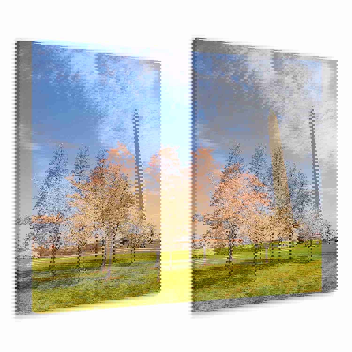 Pink Tree Cherry Blossom Festival at The National Mall Washington Modern Multicolor Scenic Nature Photography Canvas Home Office Decor Ready to Hang