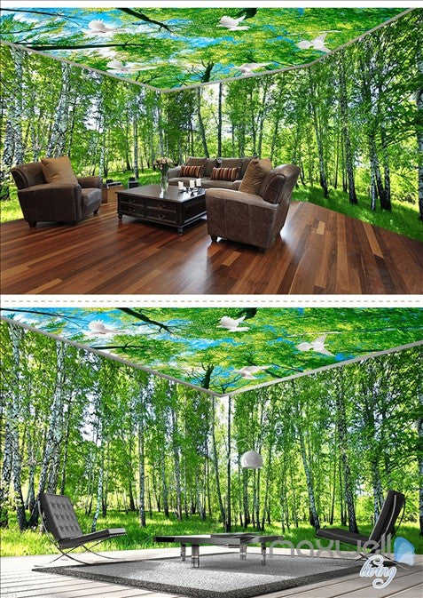 White Birch Forest Theme Space Entire Room Wallpaper Wall Mural Decal