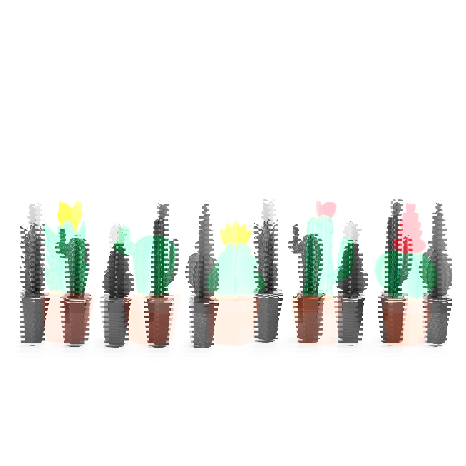 Cactus Craft Kit | Kipod Toys
