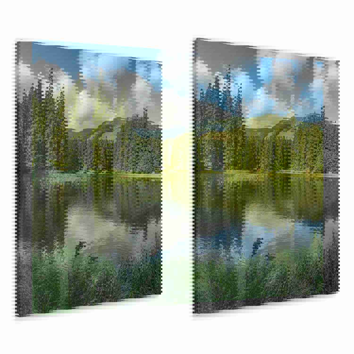 Lake Reflection Green Forest Nature Wilderness Photography Canvas Wall Art