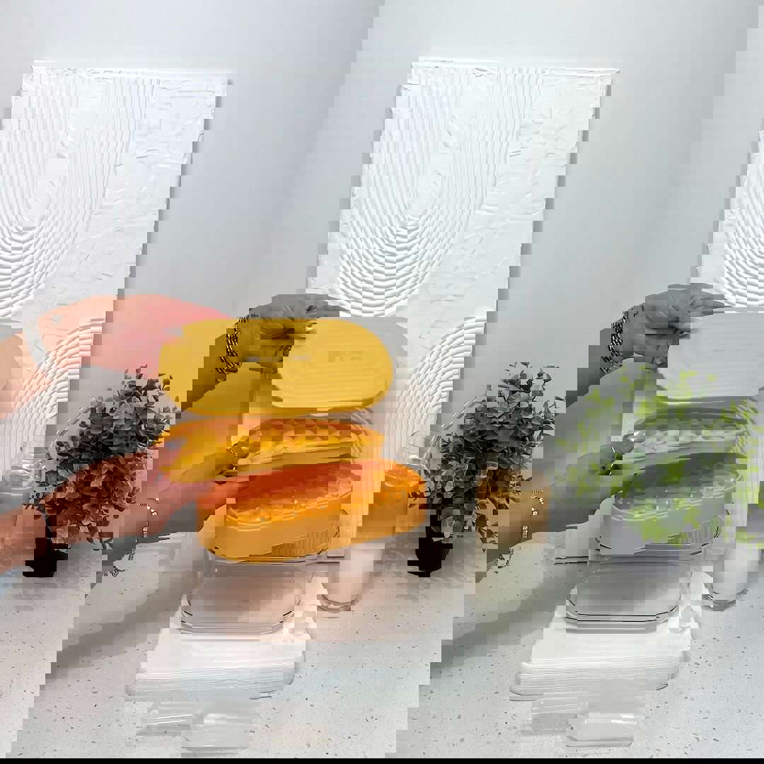 Pastel 2 in 1 Round Ice Cube Maker with Silicone Storage Box