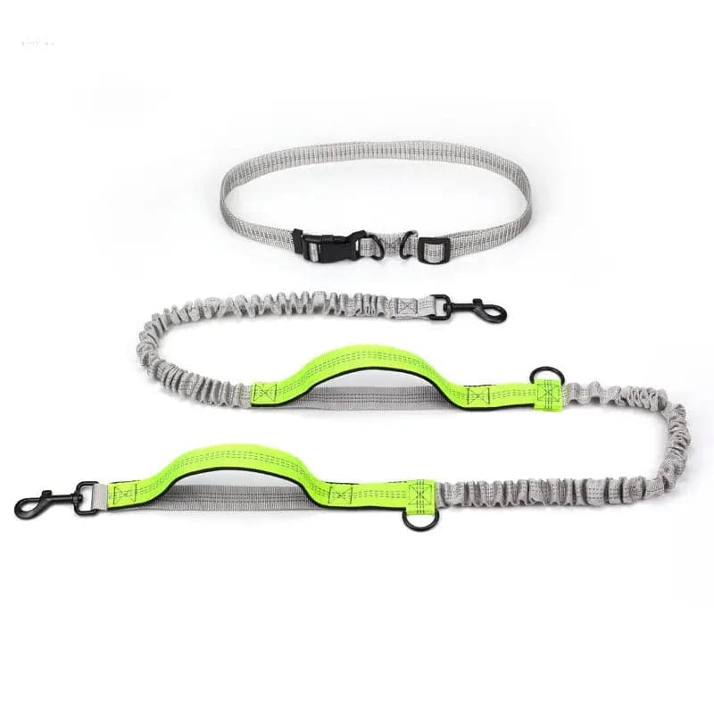 High-Visibility Outdoor Running Dog Leash for Active Pets