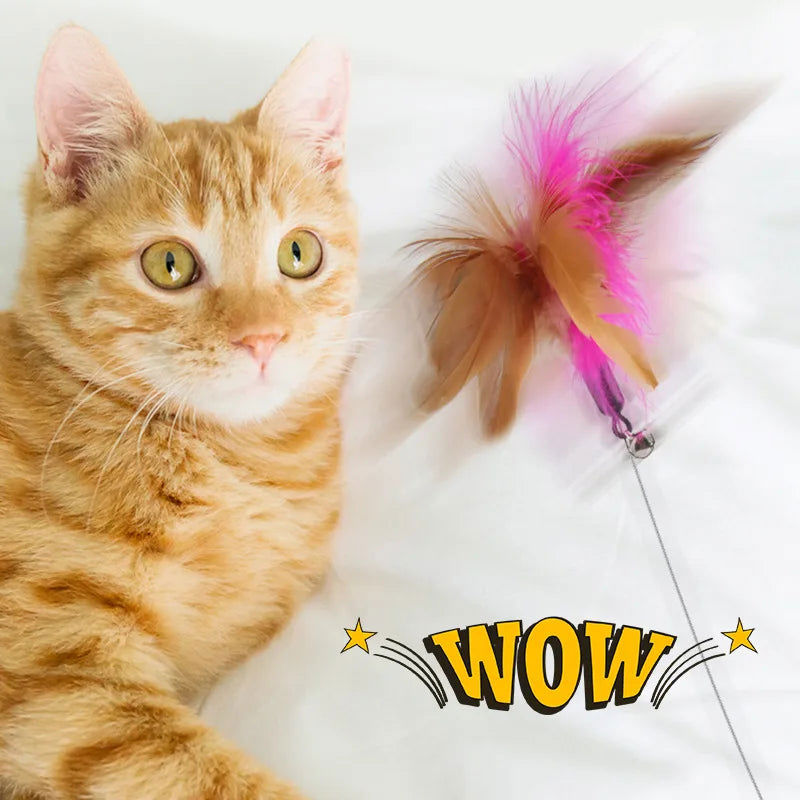 Interactive Cat Toys Funny Feather Teaser Stick with Bell for Kitten Play