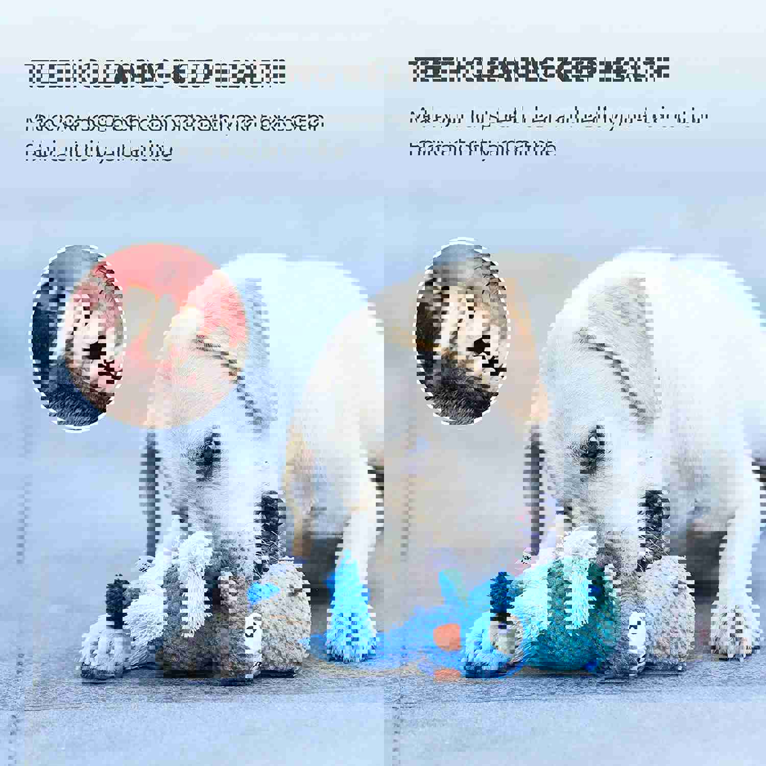 IOKHEIRA Durable Dog Plush Toys for Aggressive Chewers with Squeaky Interactive Fun