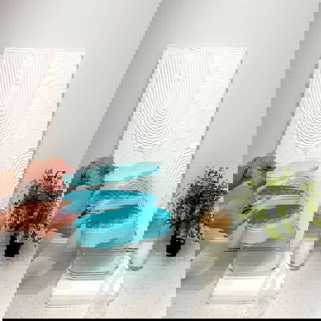 Pastel 2 in 1 Round Ice Cube Maker with Silicone Storage Box