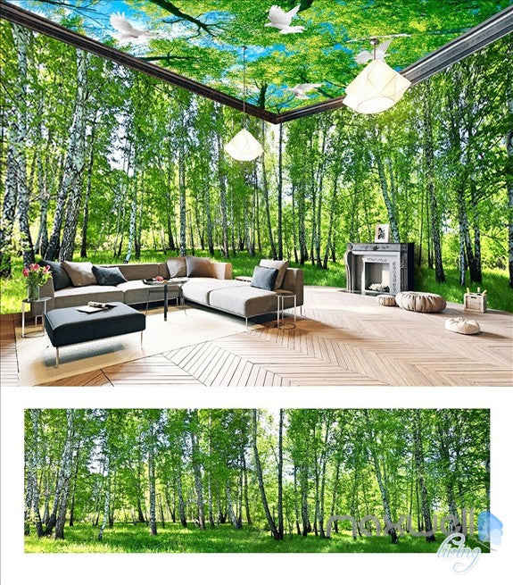 White Birch Forest Theme Space Entire Room Wallpaper Wall Mural Decal
