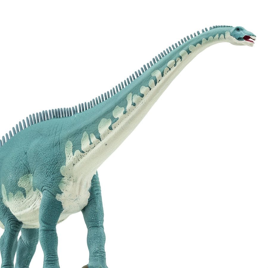 Diplodocus Dinosaur Toy - Long-Necked Jurassic Giant