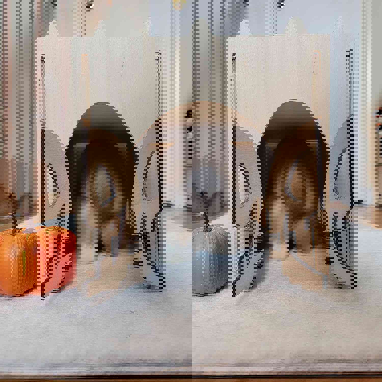 Halloween Trick or Treat Series - Pumpkin Doorway Bunny Enrichment Play Tunnel Toy